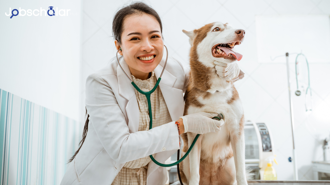 Best Majors for a Veterinarian 